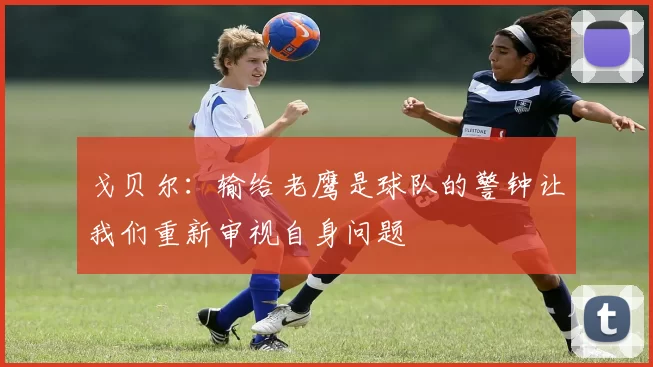 戈贝尔：输给老鹰是球队的警钟让我们重新审视自身问题