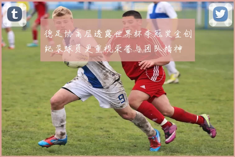 德足协高层透露世界杯夺冠奖金创纪录球员更重视荣誉与团队精神
